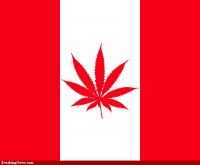Canada's true flag: maple leaf swapped for weed leaf