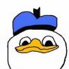 Dolan duck meme, forum classic derp face