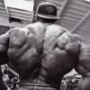 Bodybuilder's back muscles flexed in gym photo