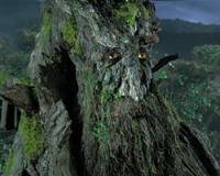 Treebeard's mossy face haunts the ancient forest