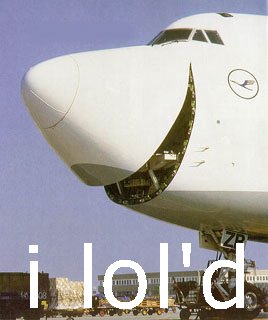 Plane nose fail with classic forum lol'd caption