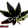 Cannabis leaf graphic with 'Riggex' username tag