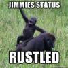 Gorilla jimmies getting rustled, classic forum-era meme