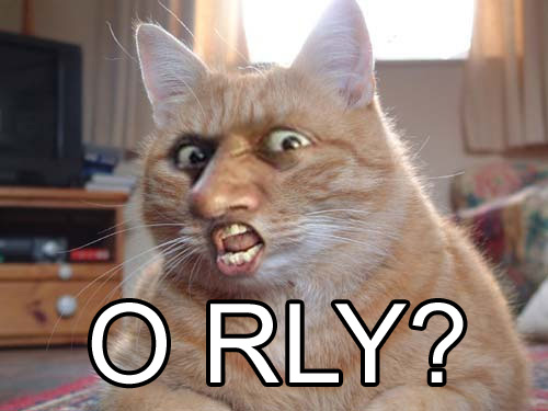 Classic O RLY cat meme, forum nostalgia gold