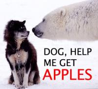 Husky begs polar bear for a snack run