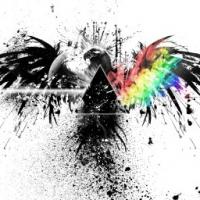 Splattered dark bird splits into rainbow-winged chaos