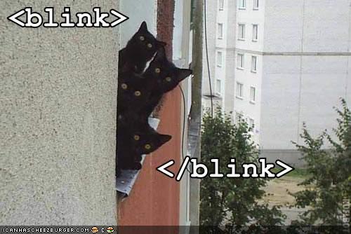 Cats peeking around a corner, HTML blink tag joke