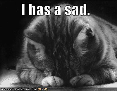 Classic lolcat feels, straight from forum nostalgia