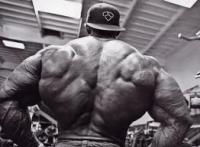 Bodybuilder's back muscles flexed in gym photo