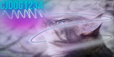 Cat-eye signature art with swirling blue lines